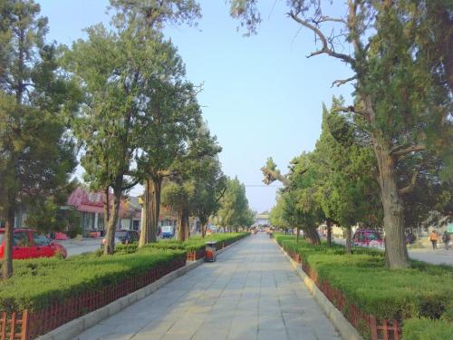孔子生迹园旅行图片 2