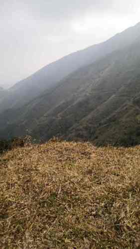 平云山旅行图片 1