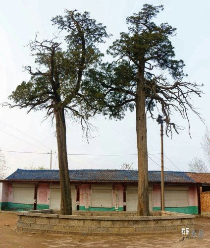 弦歌湖公园旅行图片 3