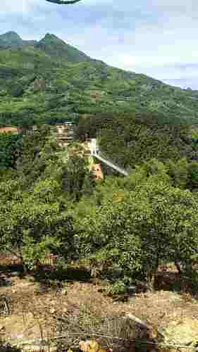 云上梯田景区旅行图片 3