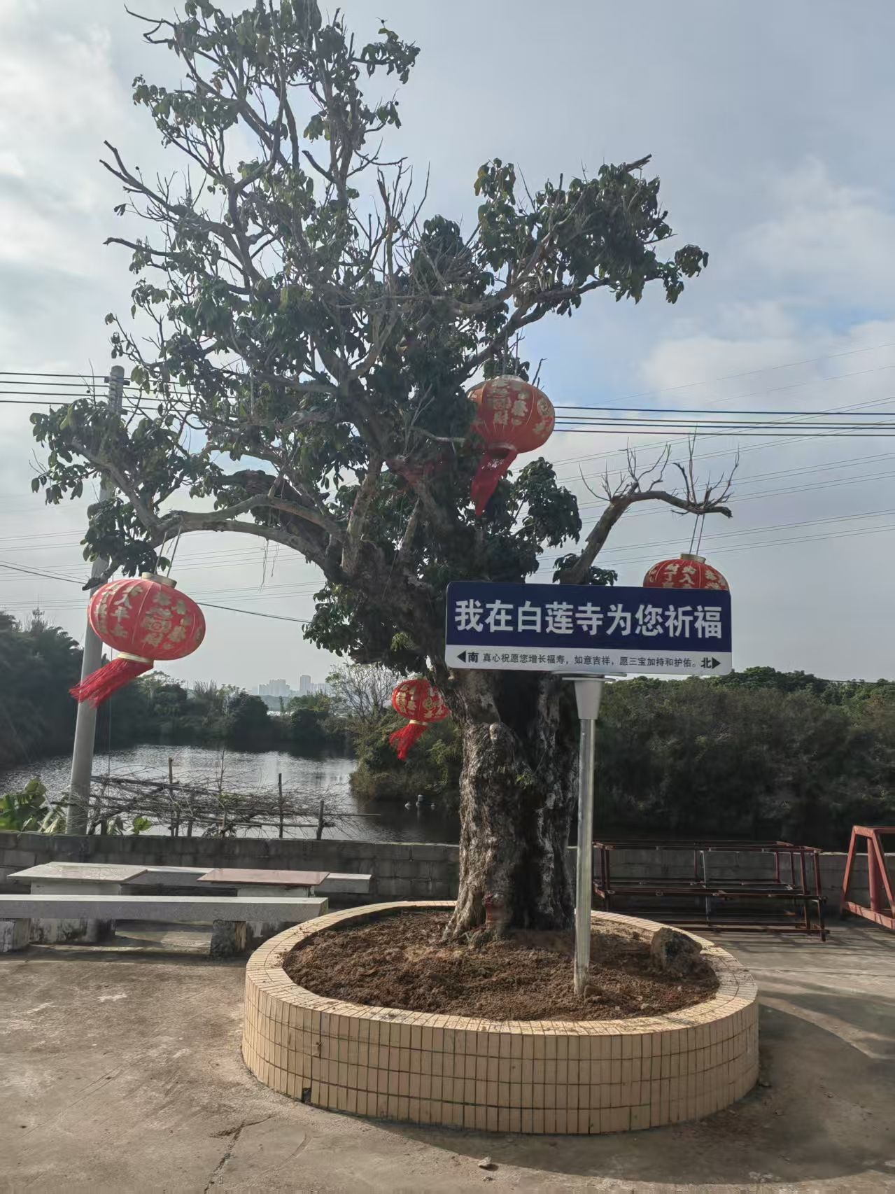 白莲禅寺实景照片