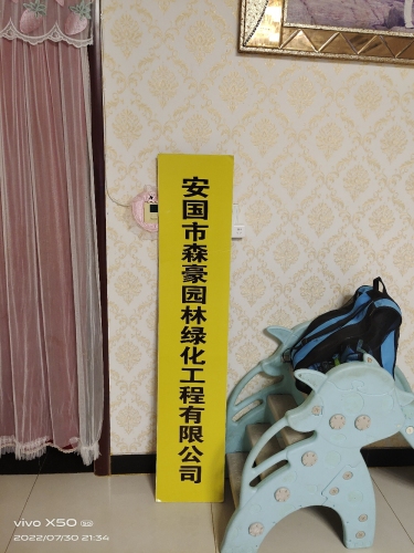 定州森豪苗圃绿化场