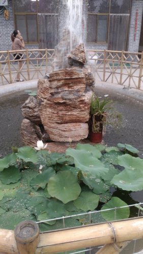 堤上草莓主题公园旅行图片 2