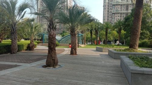 正阳中央公园旅行图片 2