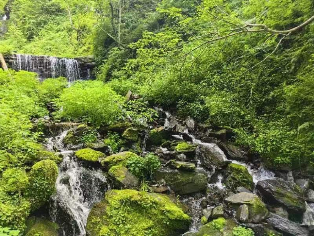凤凰山国家森林公园景点图片