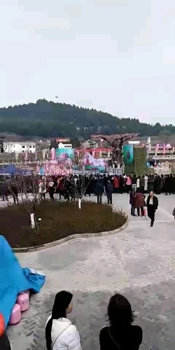 桃博园旅行图片 2