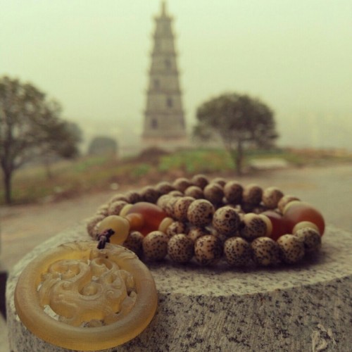 如愿塔旅行图片 1
