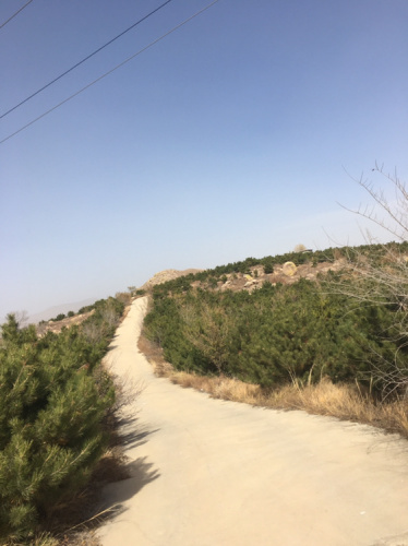 拓跋珪公园旅行图片 3