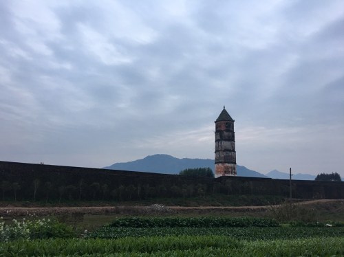 文笔塔旅行图片 3