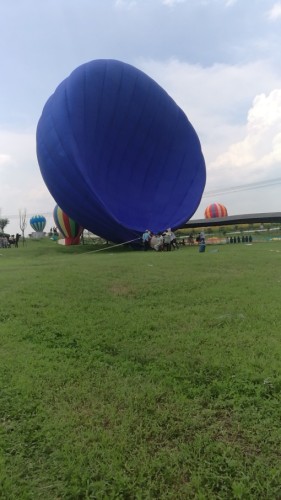 邵阳市新塘花海旅行图片 2