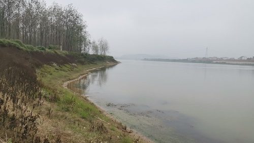 衡东洣水国家湿地公园石杨花海旅行图片 3