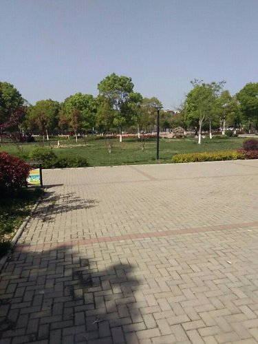 中心广场旅行图片 1