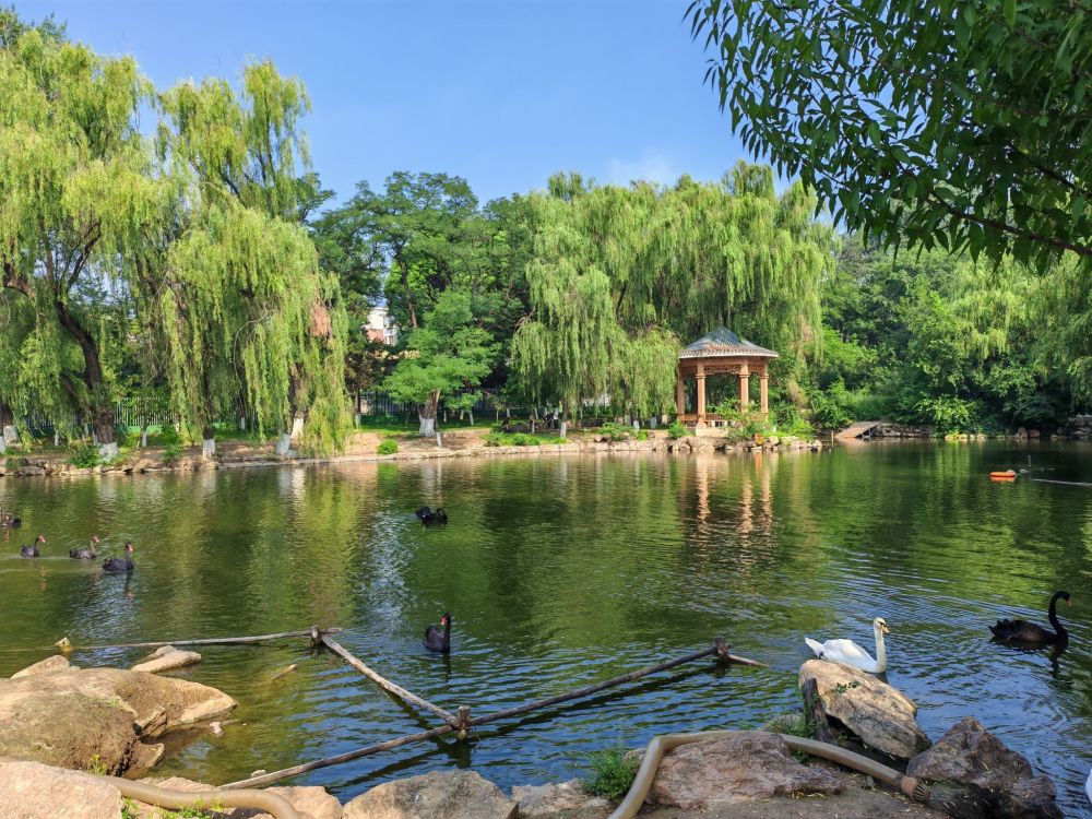 锦州动物园景点图片