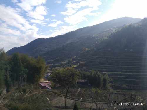 大莱梯田旅行图片 3