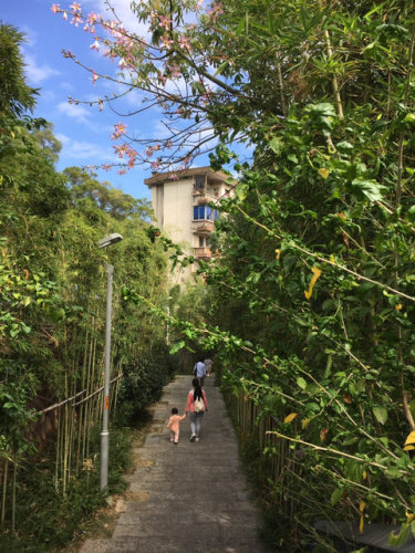 福山郊野公园-红叶谷旅行图片 1