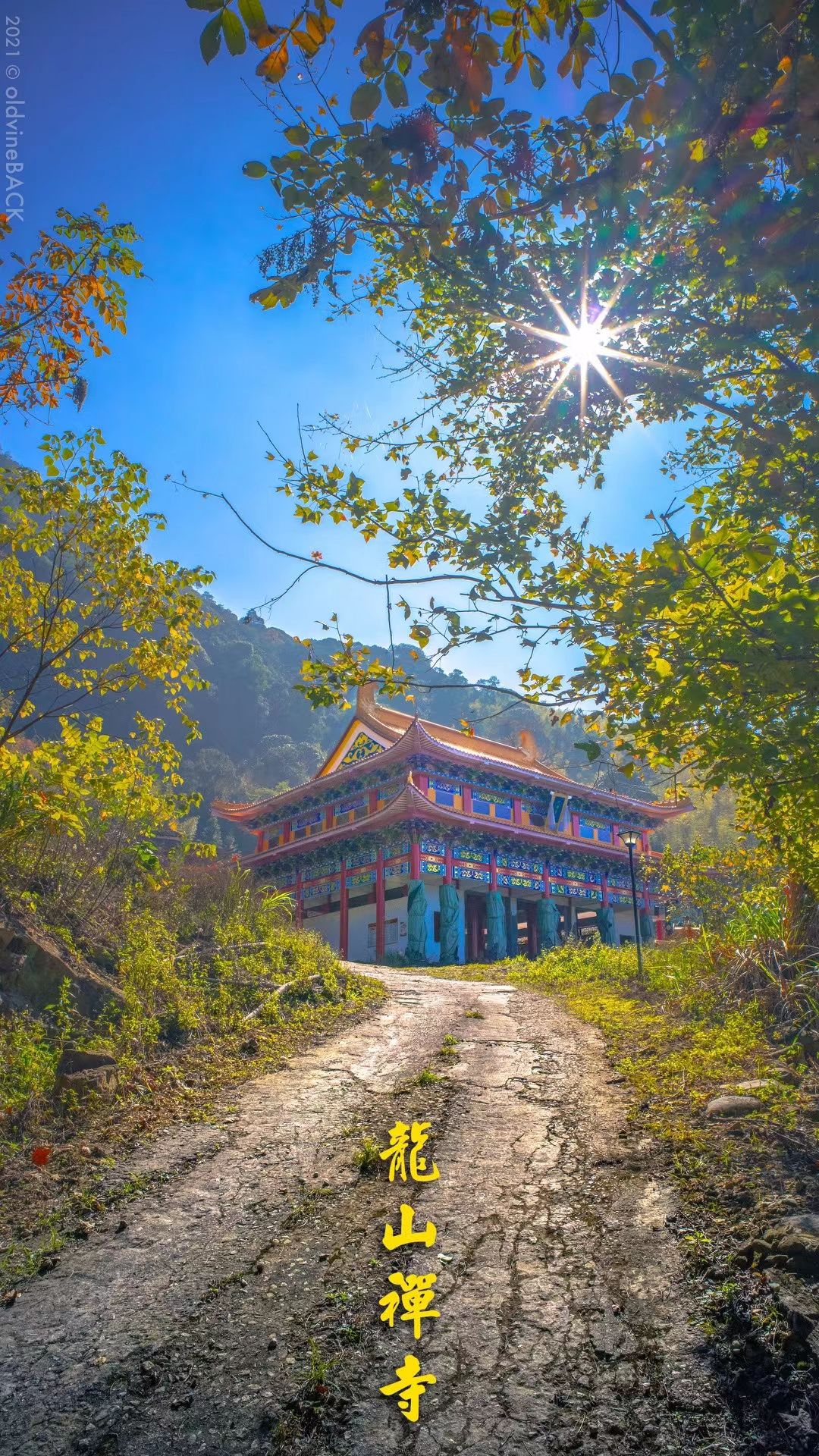 龙岩龙山禅寺实景照片