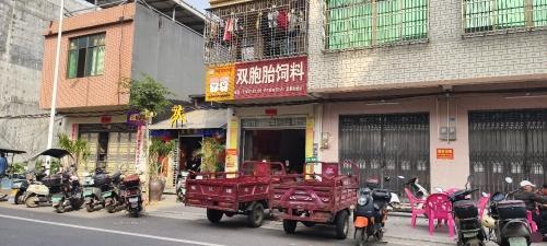 双胞胎饲料