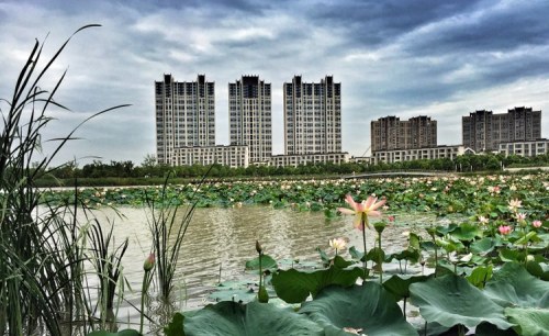 菁英湖风情公园旅行图片 1