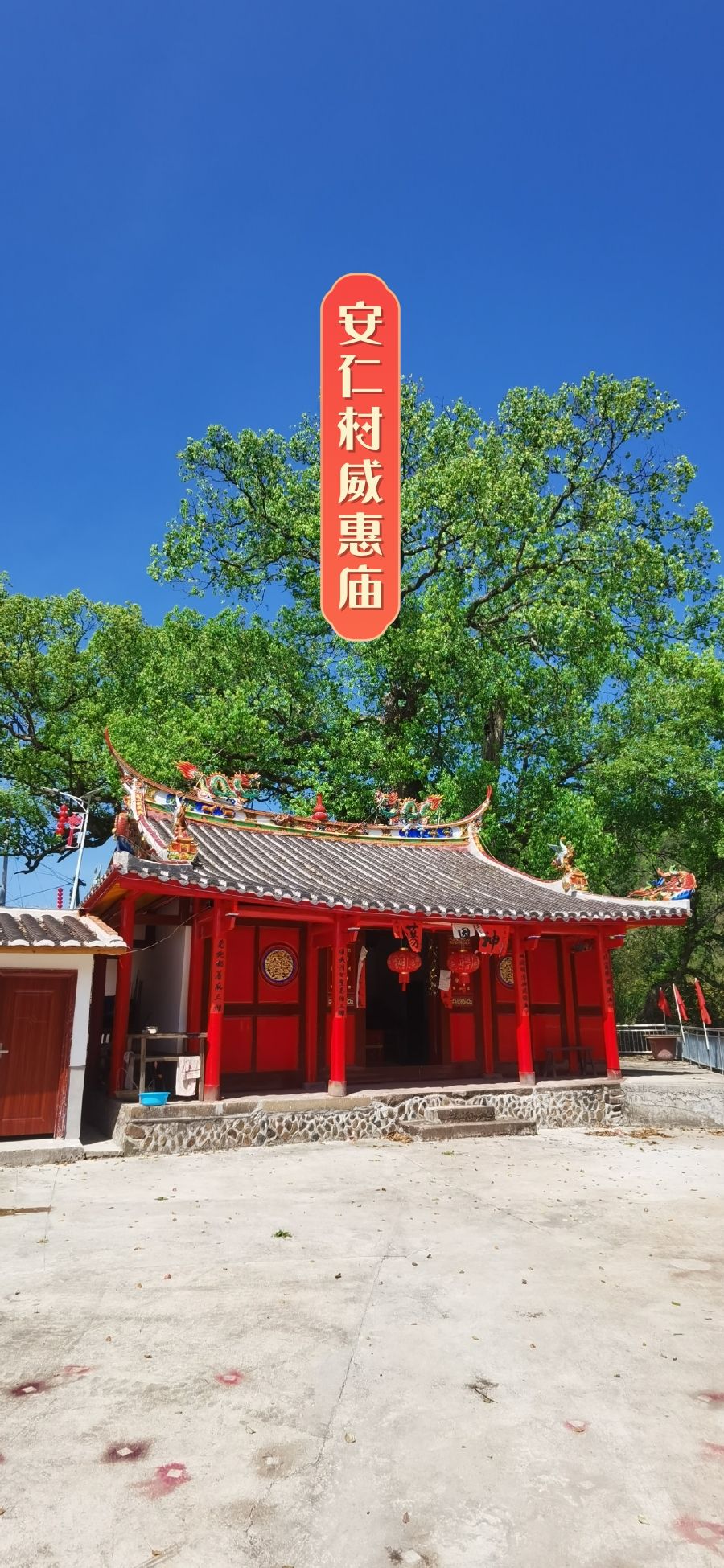 新桥安仁威惠庙实景照片
