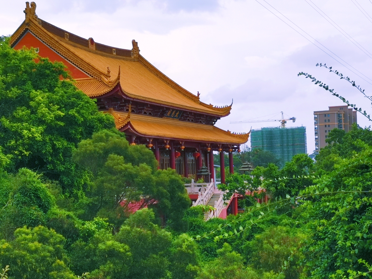 仙岳公园-大悲殿实景照片