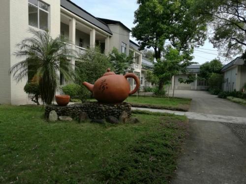 英德茶叶世界旅行图片 2
