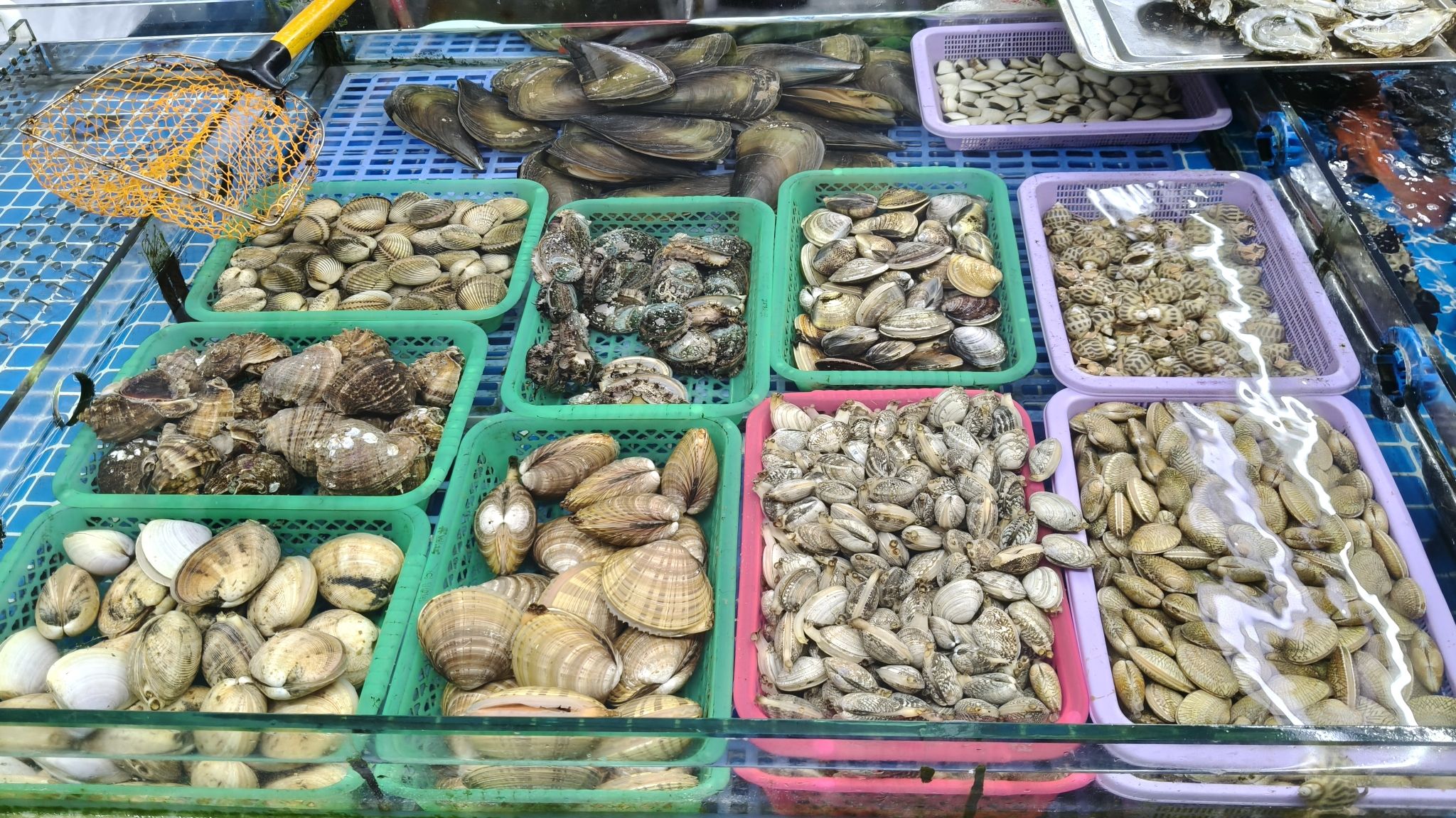 滨江海鲜广场