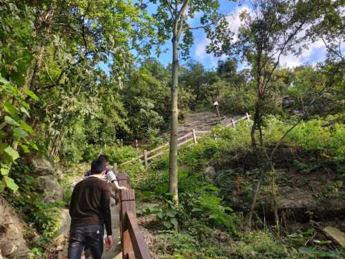 九龙湖风景名胜区-下保山公园旅行图片 2