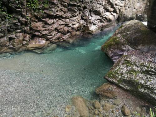 城口县九重山国家森林公园旅行图片 3