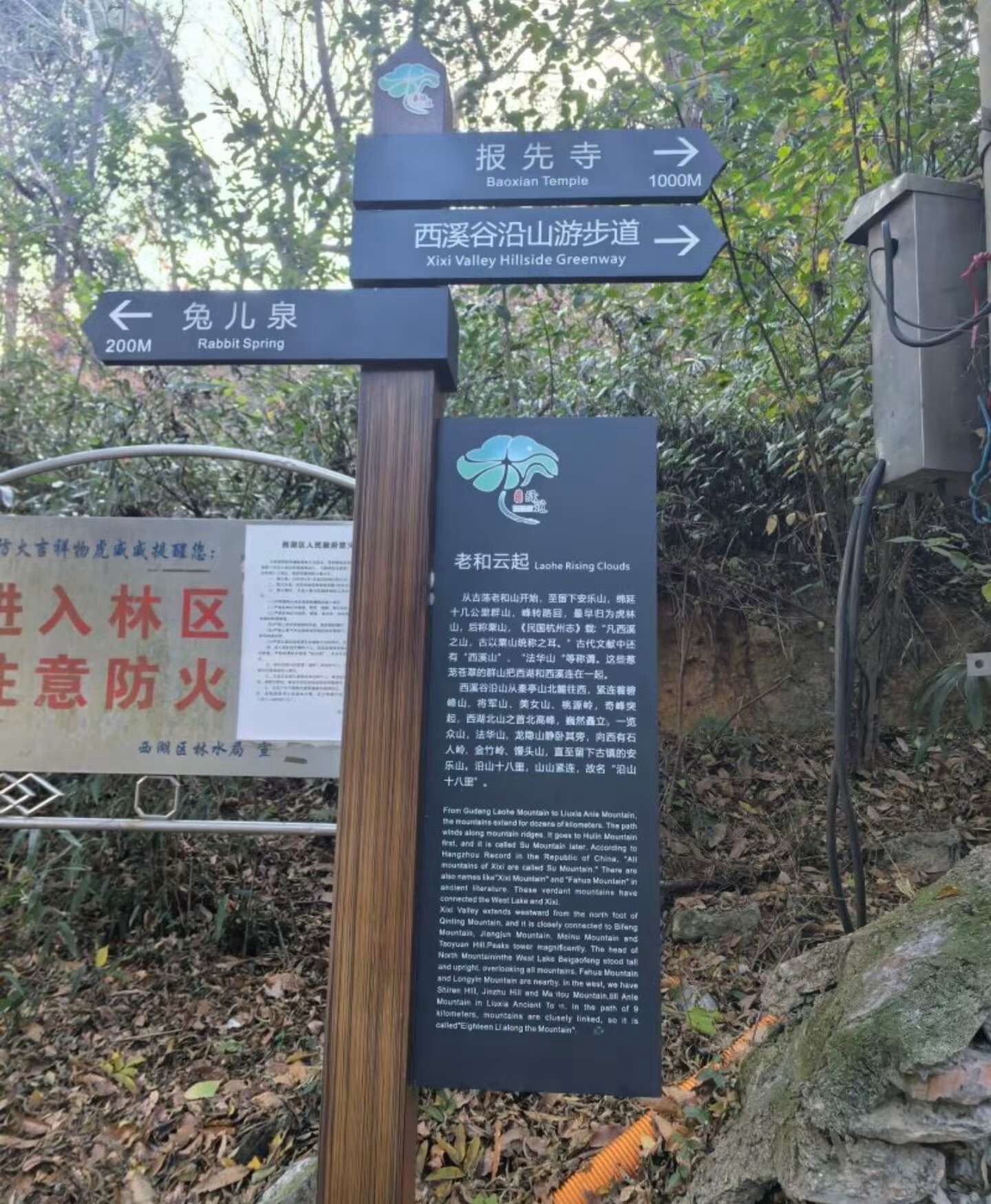 报先寺实景照片