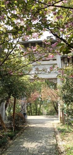 螺蛳山公园旅行图片 1