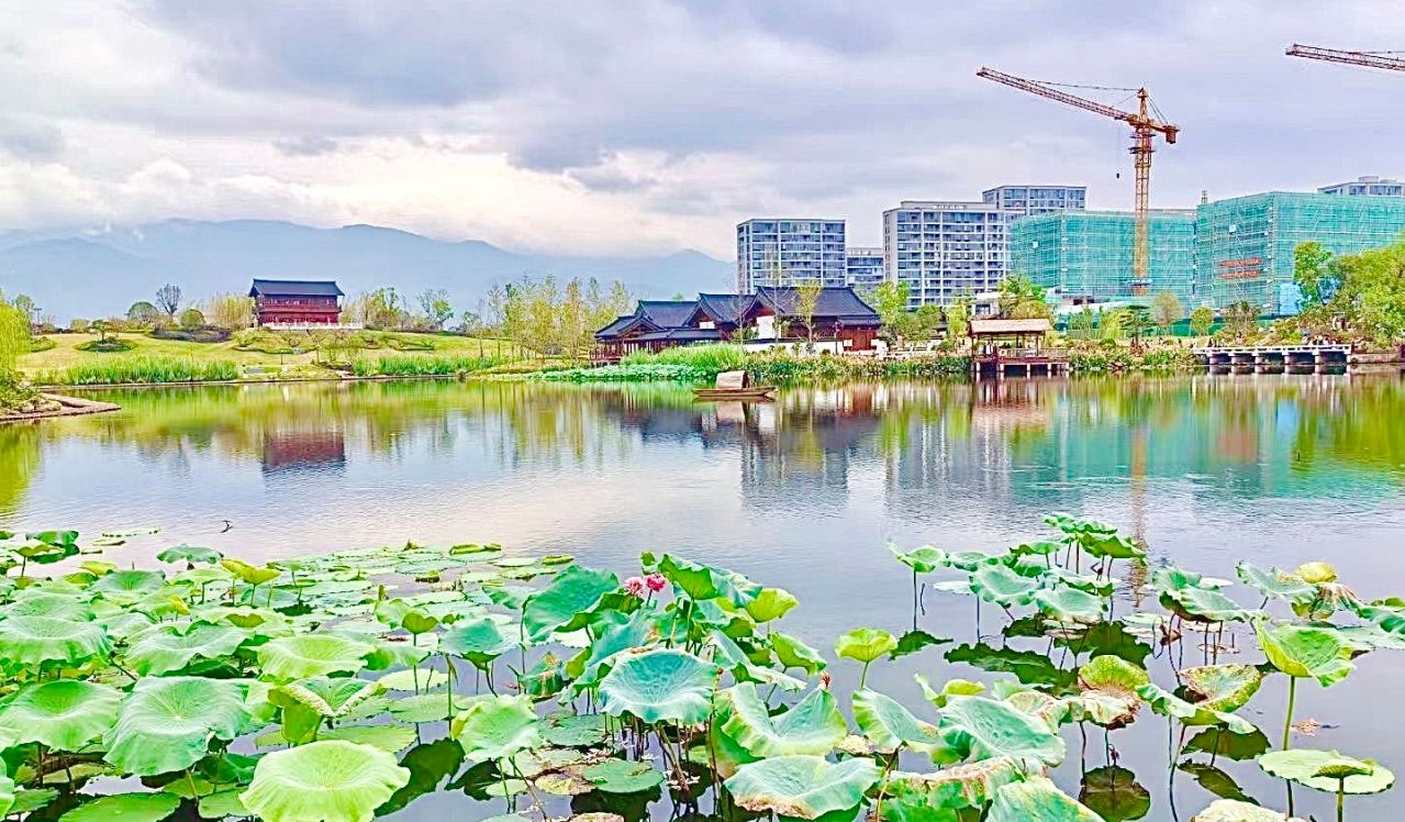 芙峰公园