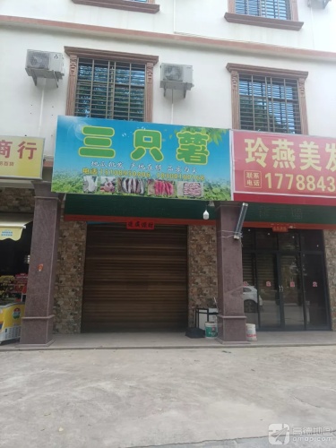 三只薯