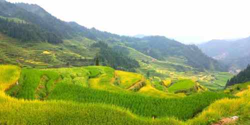 元宝梯田观景平台旅行图片 3
