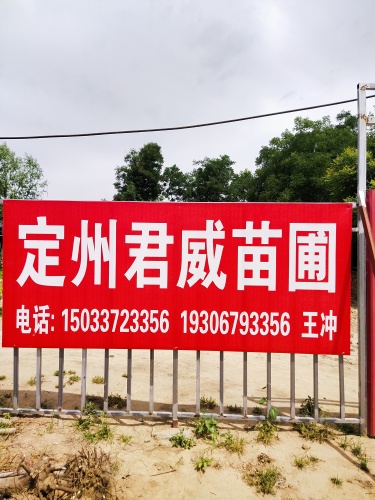 定州君威苗圃