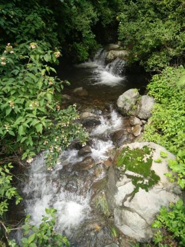 茅荆坝原始森林谷(建设中)旅行图片 2