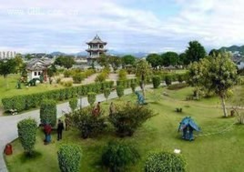 凤凰洲公园景点图片