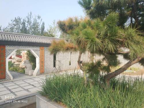松滹湾文化广场旅行图片 3