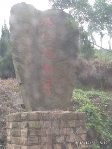 桃源植物园旅行图片 3