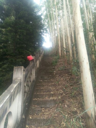 狮子山公园(装修中)旅行图片 1