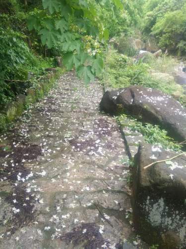 大帽山休闲农场旅行图片 1