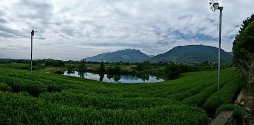木凡言植多肉绿植园旅行图片 1