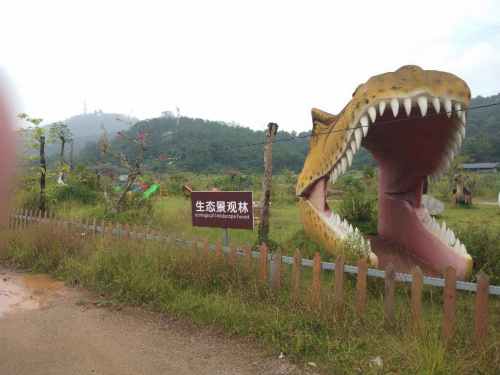 簸箕湾生态旅游区旅行图片 1
