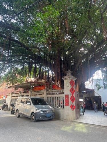 登龙祖社实景照片