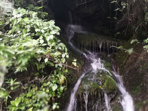 白龙洞旅行图片 2