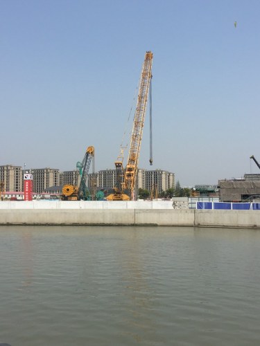 风铃绿地旅行图片 2