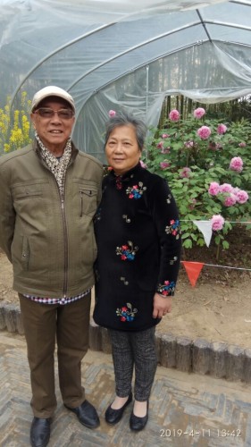 明代牡丹苑旅行图片 3