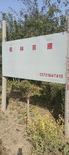 保林苗圃