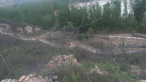 李家山(采摘园、观赏园)旅行图片 2