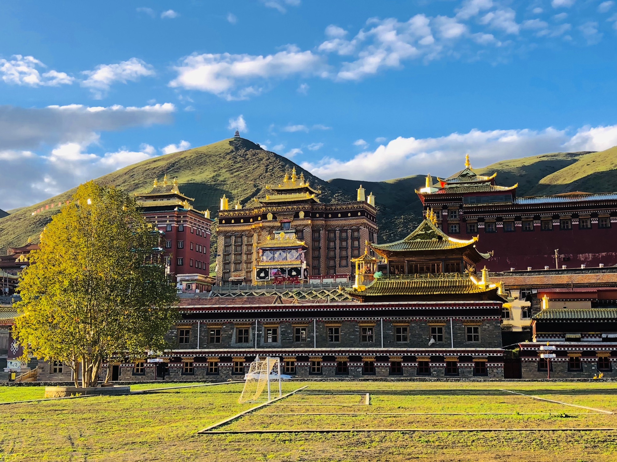 泽布基寺实景照片