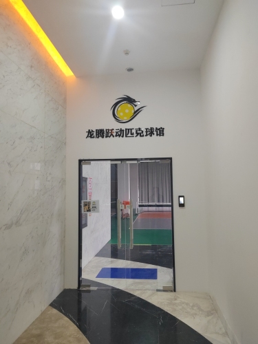 龙腾跃动匹克球馆